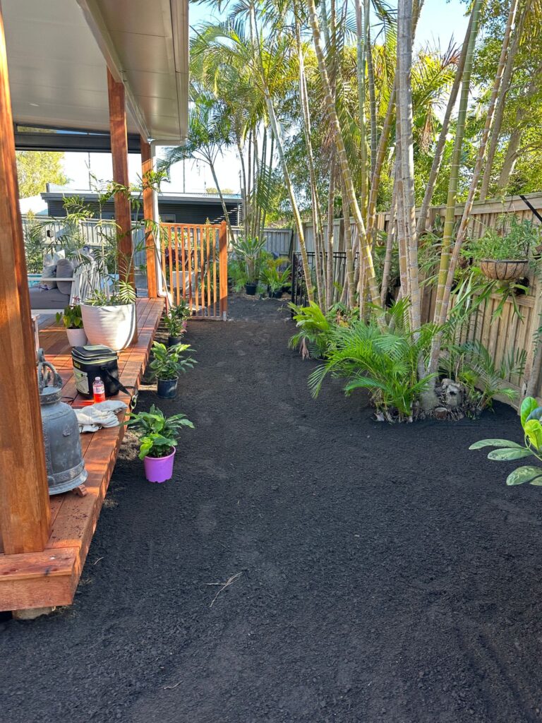 Before - landscaping