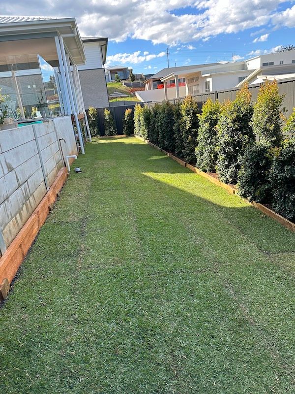 After - Turf renovation