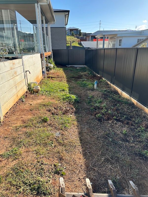 Before - Turf renovation